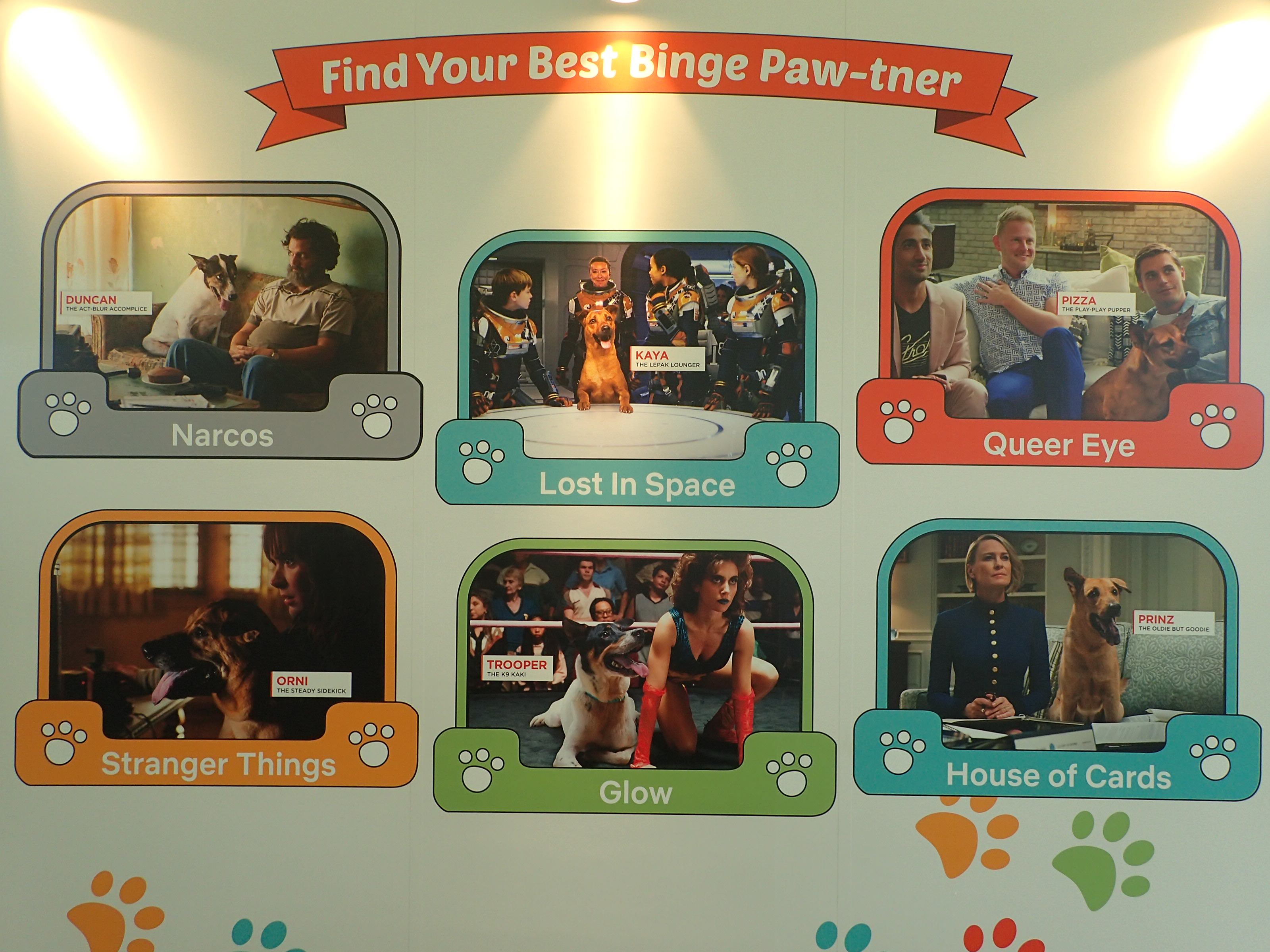 Netflix and SOSD presents Netflix and Woof adoption drive! Netflix and SOSD presents Netflix and Woof adoption drive! - Alvinology