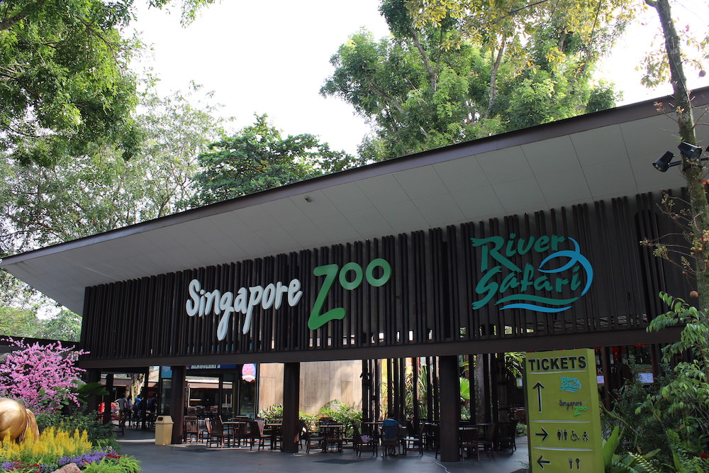Here are 45 things to mark 45 magical years at the Singapore Zoo! - Alvinology