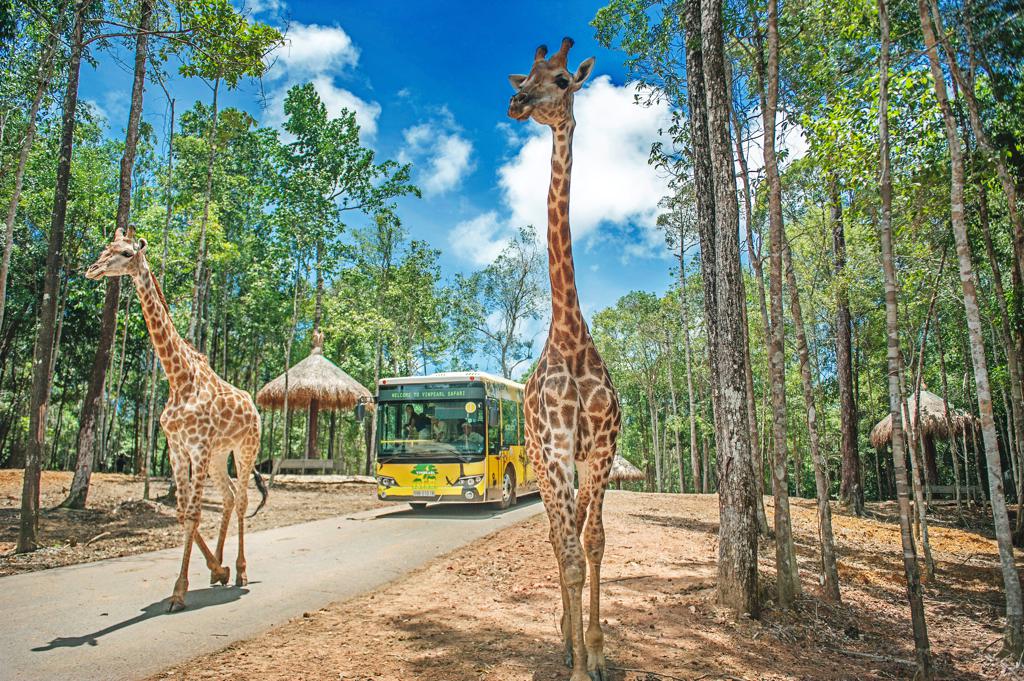 Ten Reasons to Visit Phu Quoc, Vietnam's island paradise that puts Boracay and Phuket to shame - Alvinology