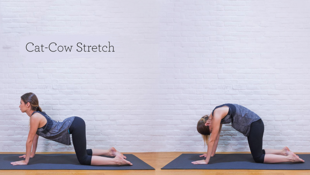 7 Yoga Poses So Simple, Even Kids Can Do 7 Yoga Poses So Simple, Even Kids Can Do - Alvinology