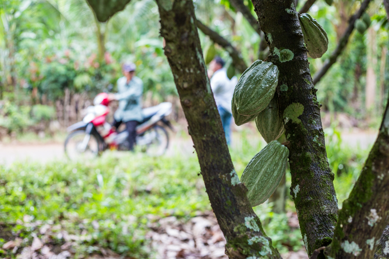 Barry Callebaut: Chocolate with a Heart - Alvinology