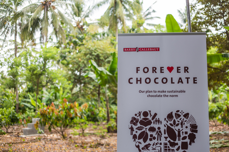 Barry Callebaut: Chocolate with a Heart - Alvinology