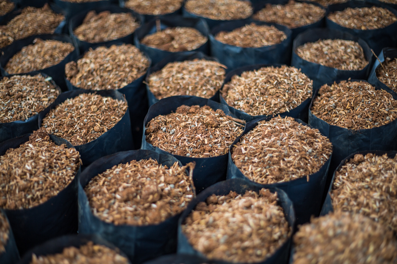 Barry Callebaut: Chocolate with a Heart - Alvinology