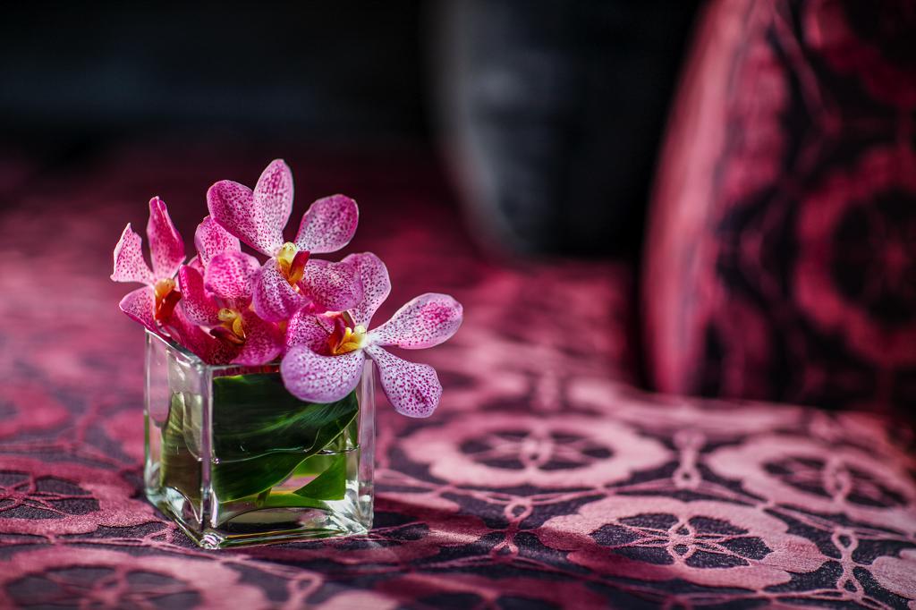 Our Radisson Blu Plaza Bangkok experience is one we won't ever forget - Alvinology