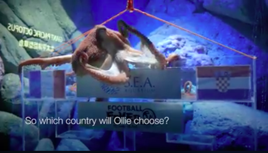 Watch Resort World Sentosa's Ollie the Octopus predict the World Cup winner - Alvinology