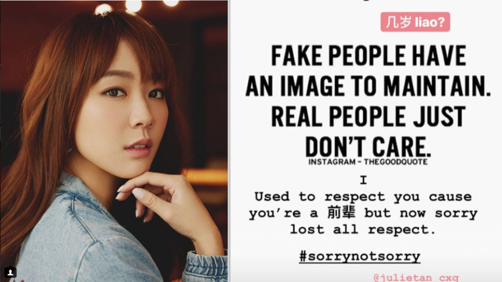 Julie Tan may have insulted a veteran actress on her Instagram story - Alvinology