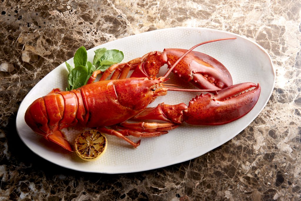 Morton's of Chicago promotion: 2-pound lobster at SGD$88++ on 30th August - Alvinology