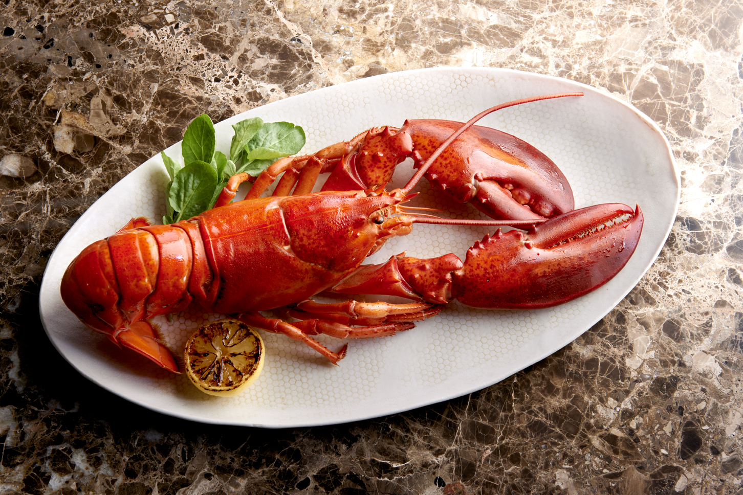 Morton's of Chicago promotion: 2-pound lobster at SGD$88++ on 30th August - Alvinology
