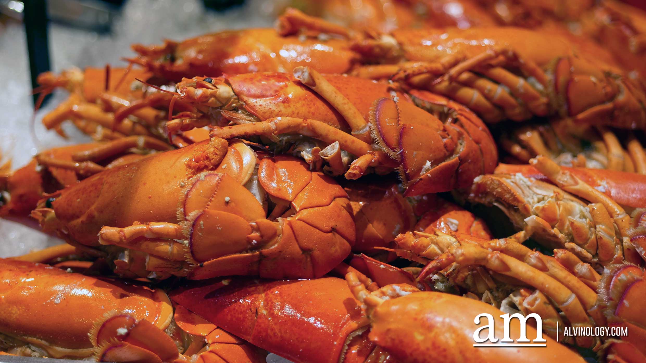 All-you-can-eat Lobster Buffet at Hotel Jen Tanglin for just S$129 for Two - Alvinology