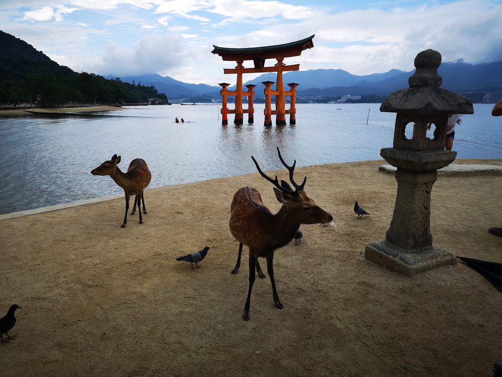 Experience Hiroshima, Ehime and Okayama - Japan's Mediterranean region (Part 1: Hiroshima) - Alvinology