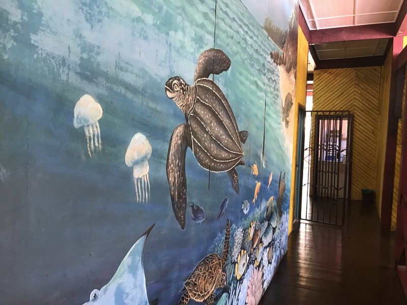 The best things to do in Cherating, Pahang, Malaysia The best things to do in Cherating, Pahang, Malaysia - Alvinology