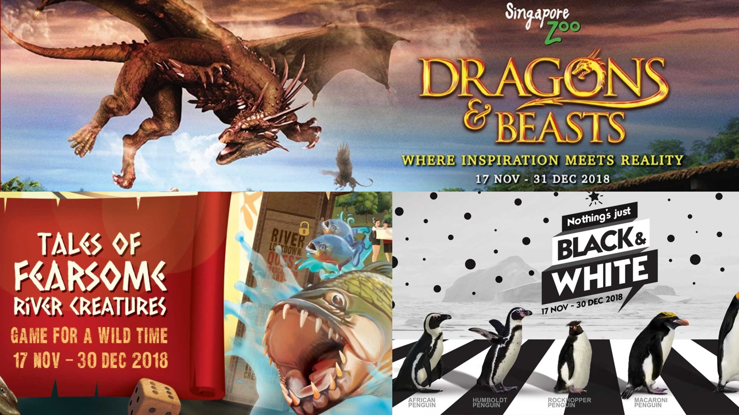 Holiday fun at the Singapore Zoo, Jurong Bird Park and River Safari - Alvinology