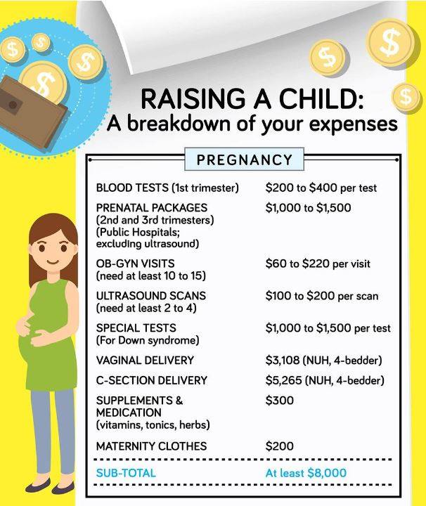 Raising a child in Singapore costs $670,000 according to infographic - Alvinology