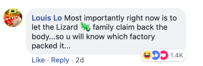 IRVINS Salted Egg apologies for alleged lizard in their product--shows other Singaporean companies how it's done - Alvinology
