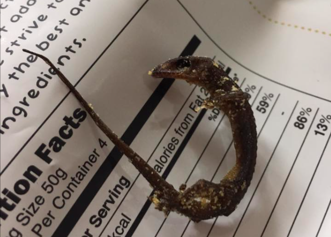 IRVINS Salted Egg apologies for alleged lizard in their product--shows other Singaporean companies how it's done - Alvinology