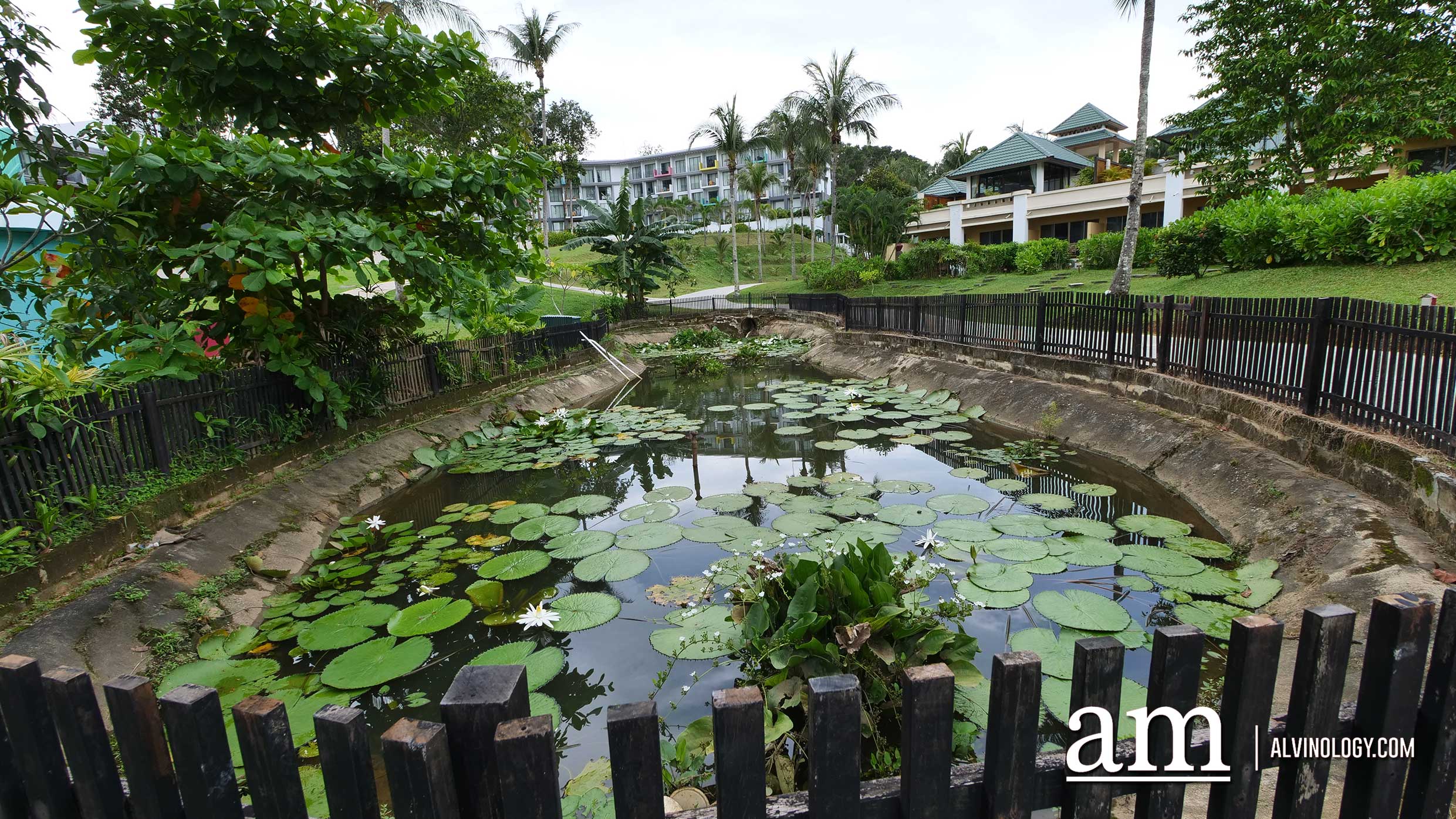 Pond for kids to learn about bio-diversity 