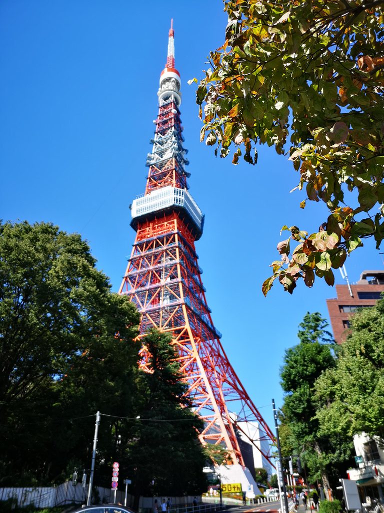 Tokyo Tower at the end of a tree-lined avenue.