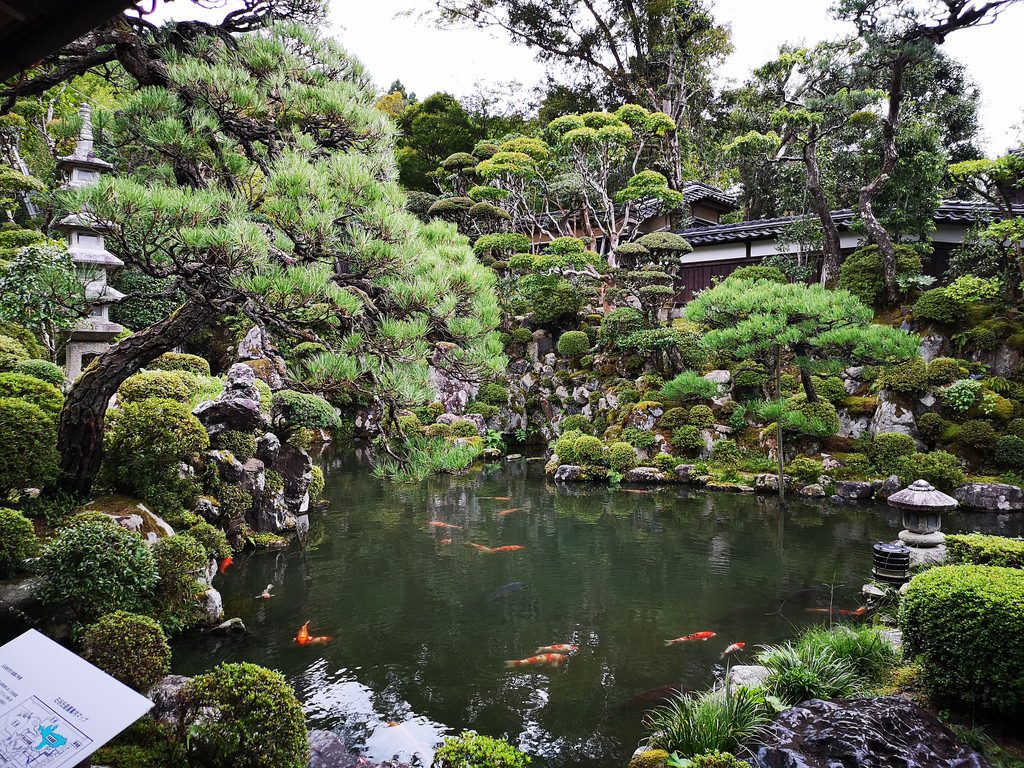 My favourite part of the residence is this room where you get this view of the garden.