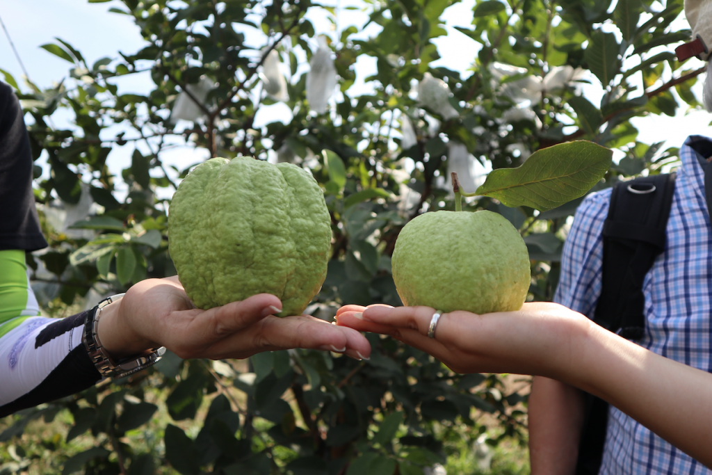 Pretty Places: 10 Hotspots of Kaohsiung and Pingtung - Alvinology