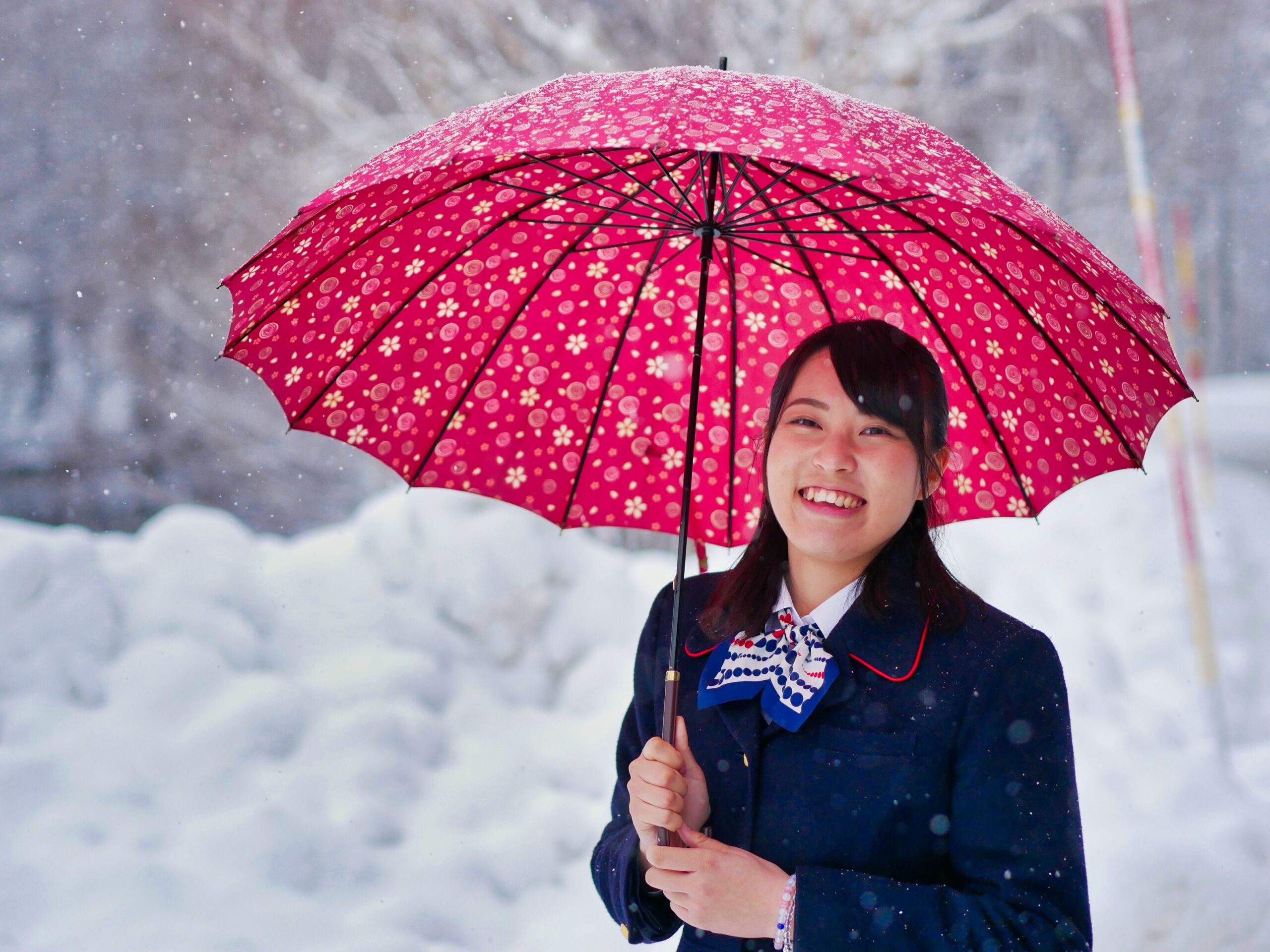Places That Will Leave You Mesmerised in Japan - Alvinology