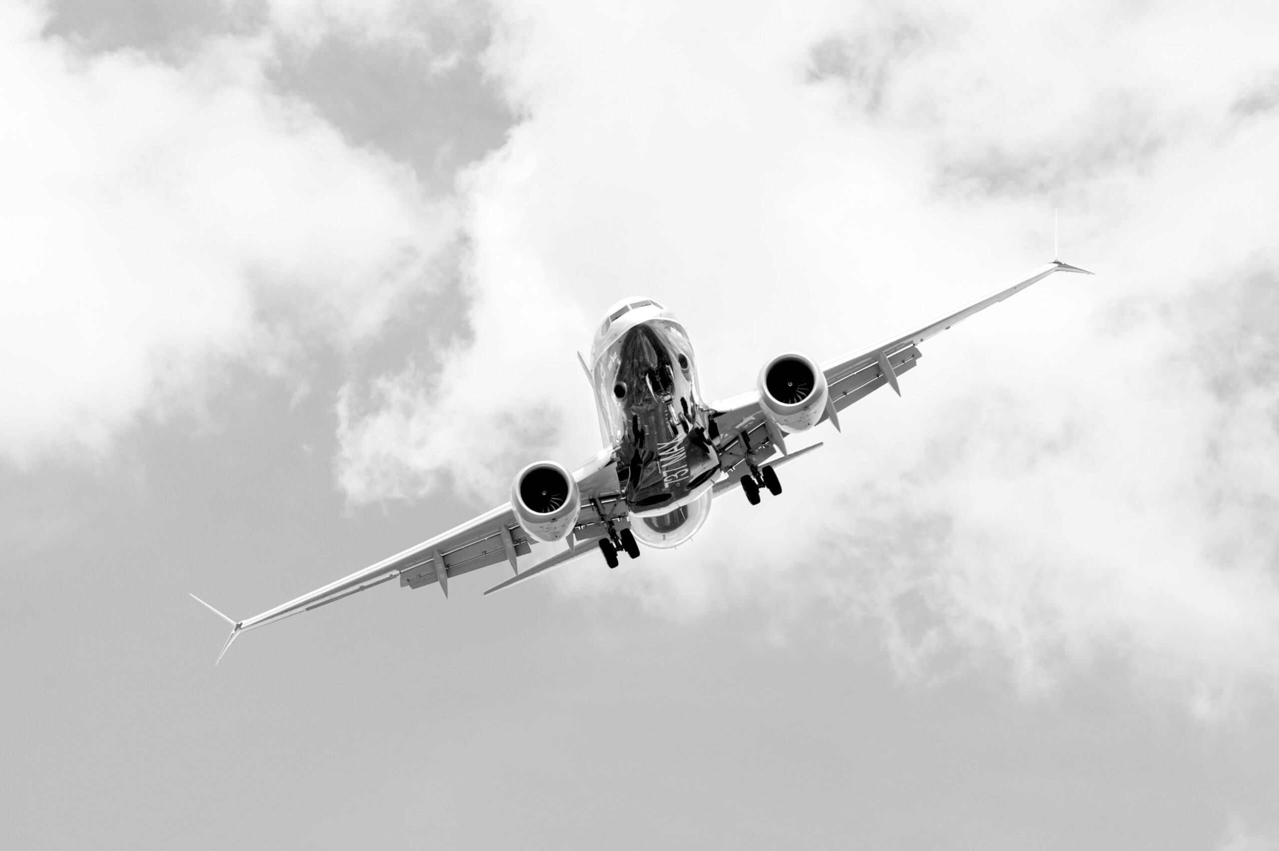 Airlines to avoid if you don't want to ride a Boeing 737 Max-8 - Alvinology