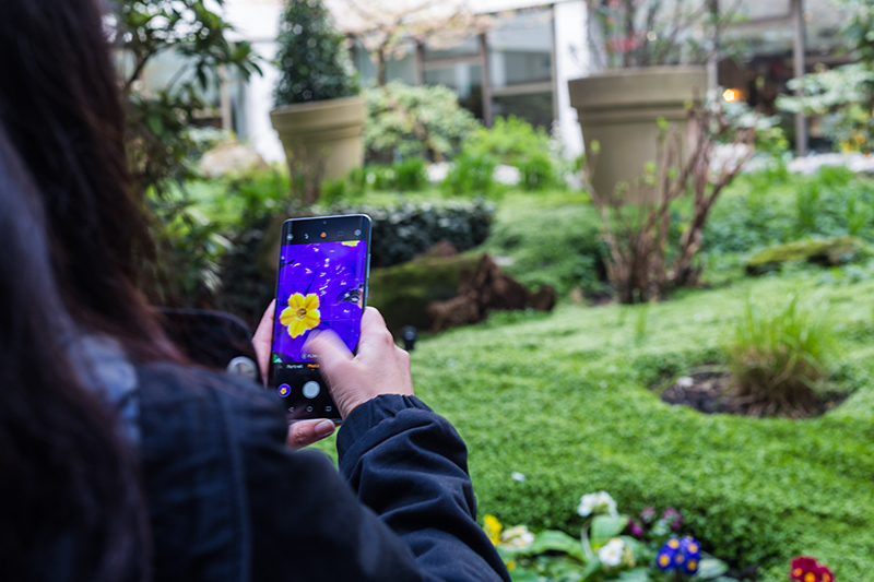 Huawei Gives DSLR Cameras a Run for Their Money With P30 Series - Alvinology