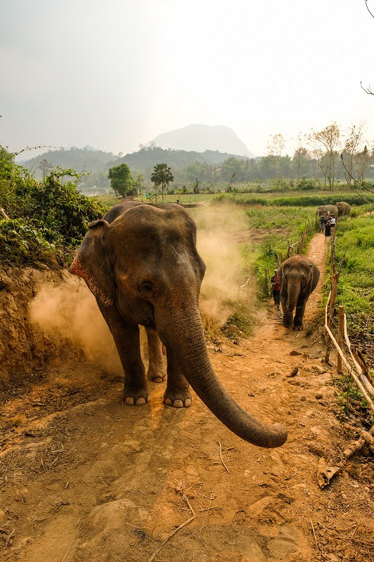Laos – A Land Waiting to be Discovered - Alvinology