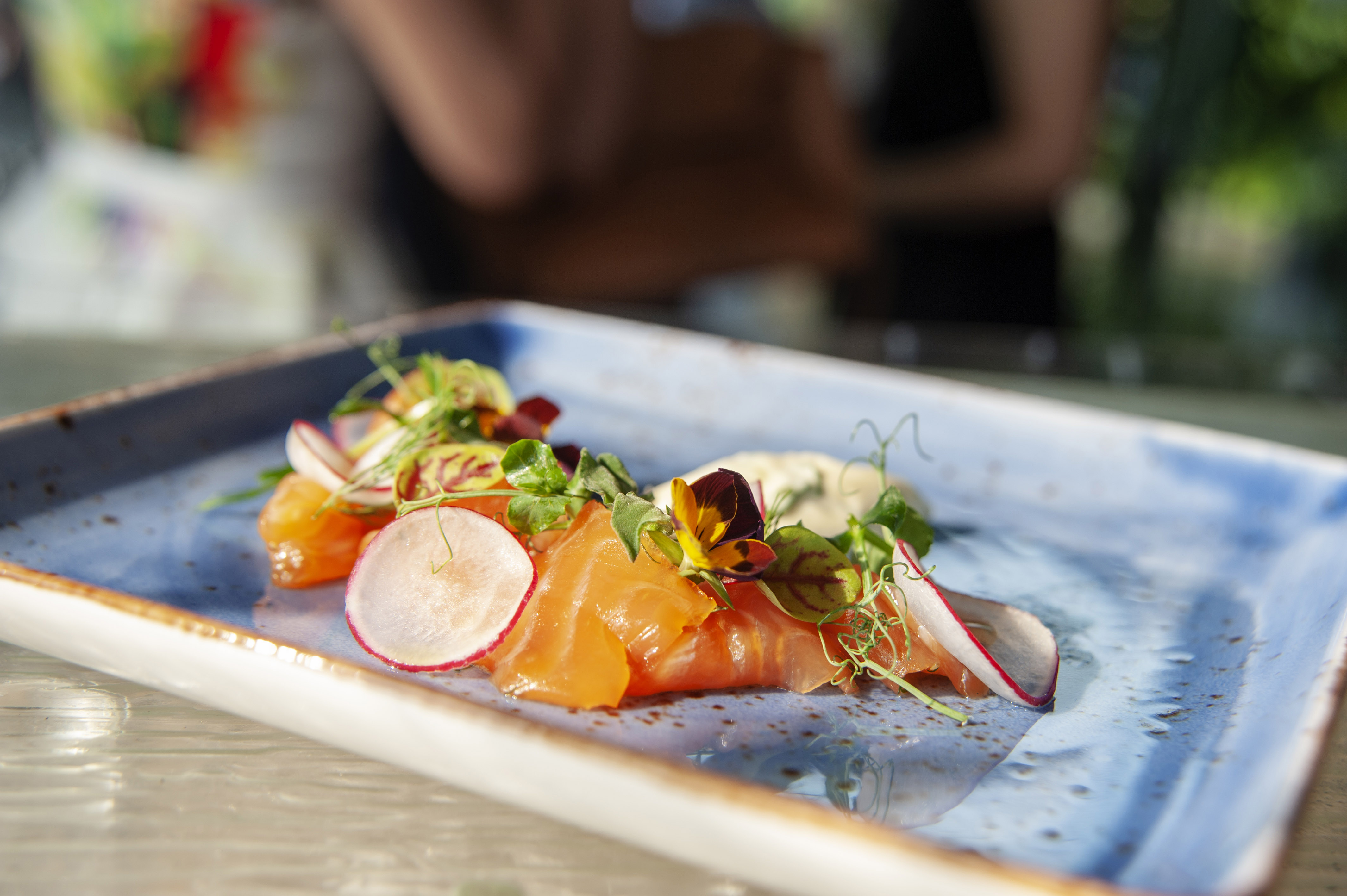 World Gourmet Summit 2019: For better food-waste management and plastic-free environment World Gourmet Summit 2019: For better food-waste management and plastic-free environment - Alvinology