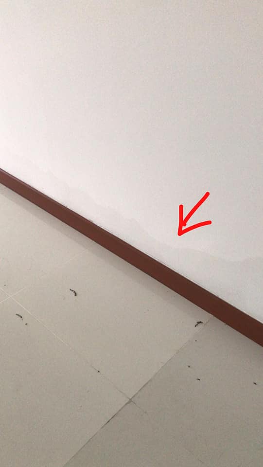 What did the HDB say about this flat that's full of mold and water stains? - Alvinology