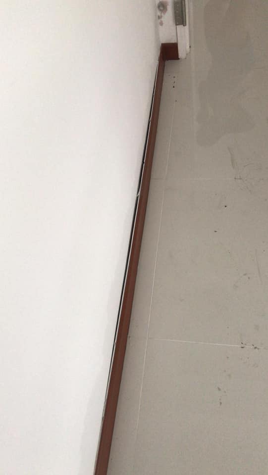 What did the HDB say about this flat that's full of mold and water stains? - Alvinology