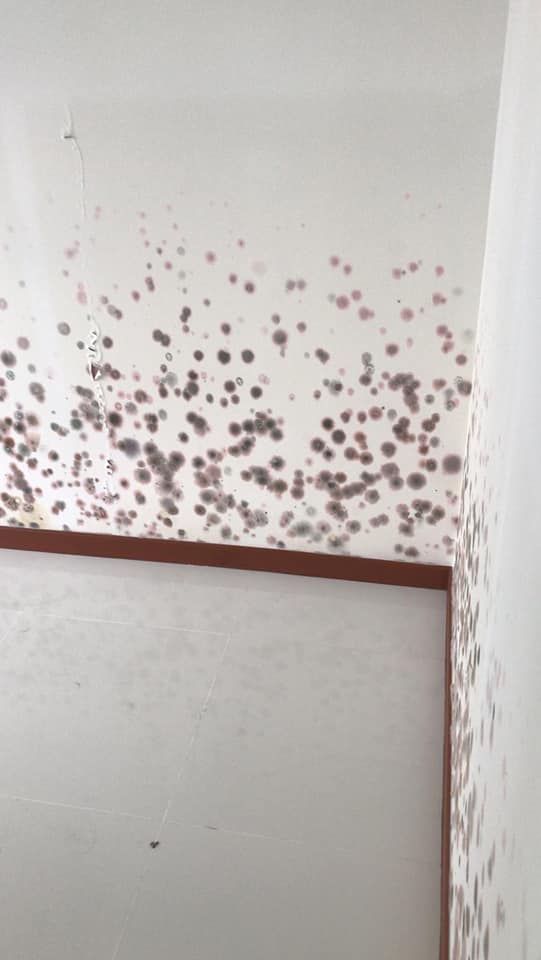 What did the HDB say about this flat that's full of mold and water stains? - Alvinology