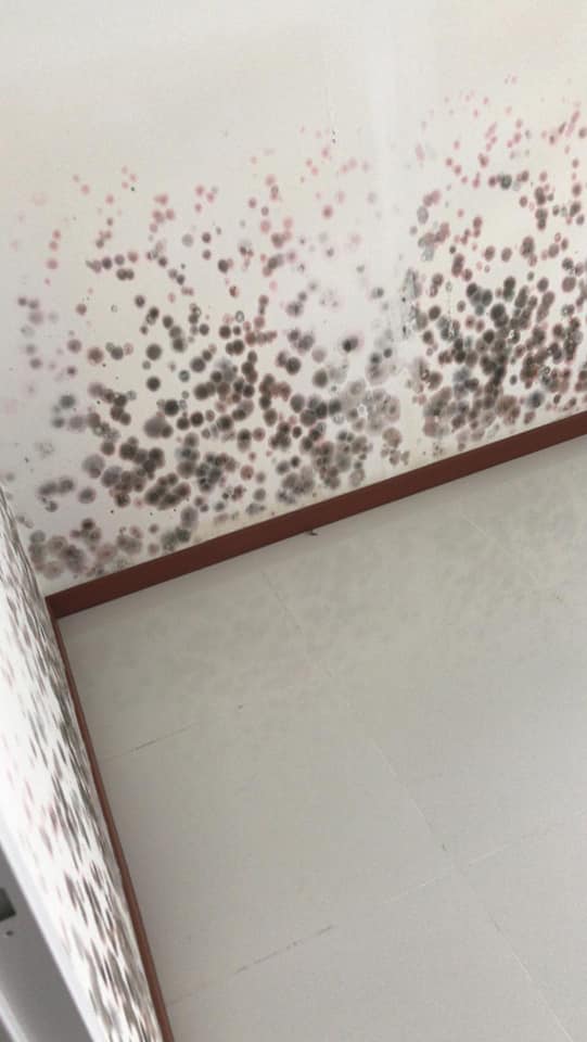 What did the HDB say about this flat that's full of mold and water stains? - Alvinology
