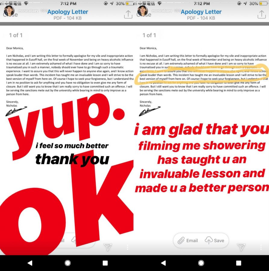 Who is NUS student Monica Baey (马芸)? She accuses the school of covering up and the police of leniency for Nicholas Lim - Alvinology