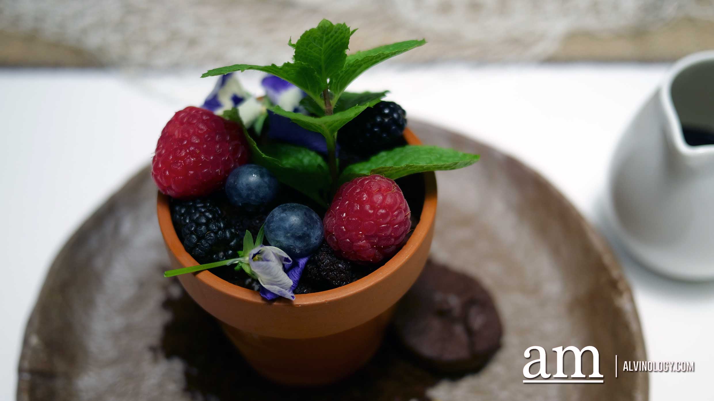 How You Can Help the World's Oceans by Opting for Sustainably Sourced Seafood Ice cream flower pot, rooftop herbs, cookies and fudge