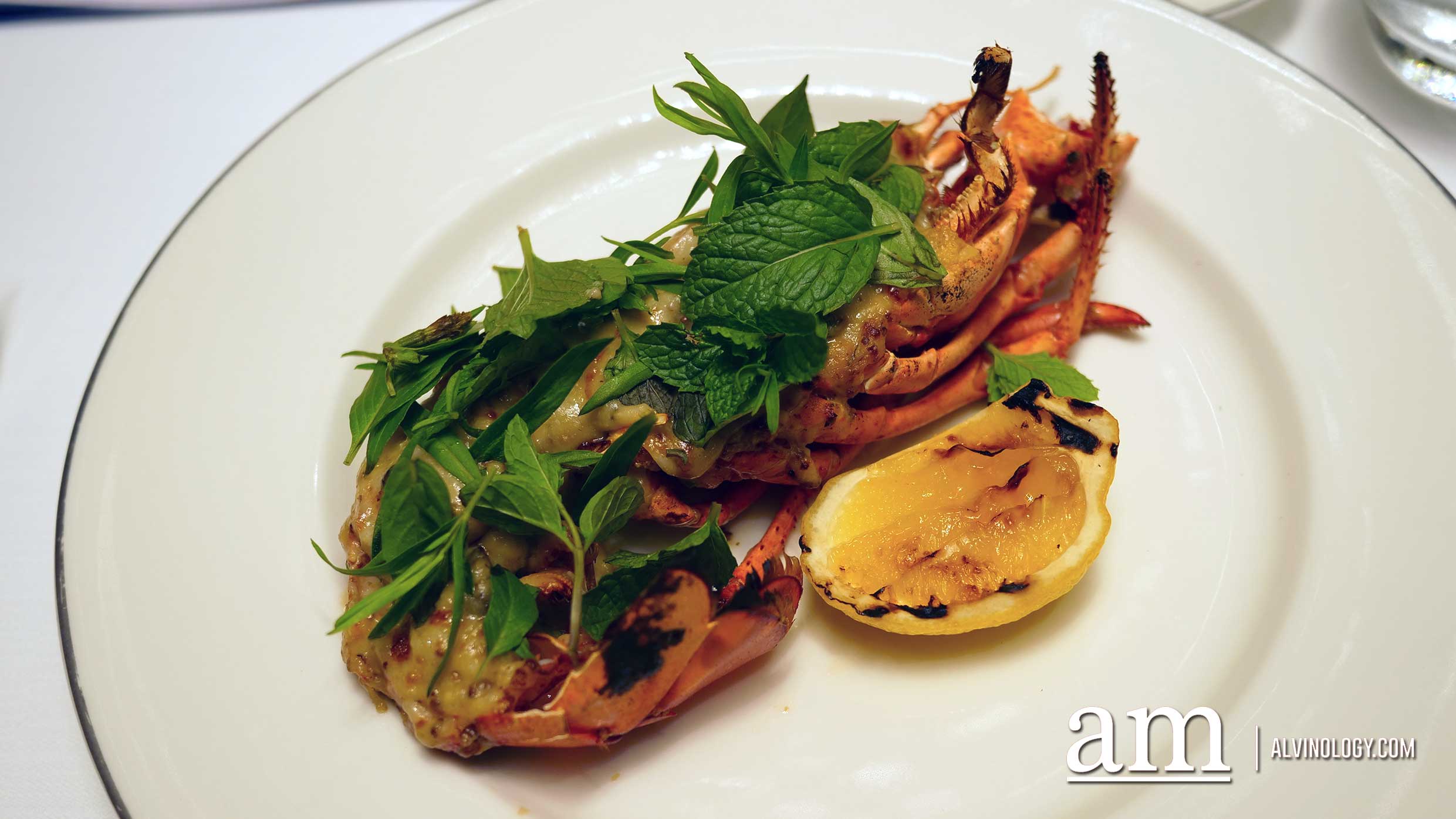 How You Can Help the World's Oceans by Opting for Sustainably Sourced Seafood Classic baked MSC Certified Maine Lobster Thermidor, fine herb salad