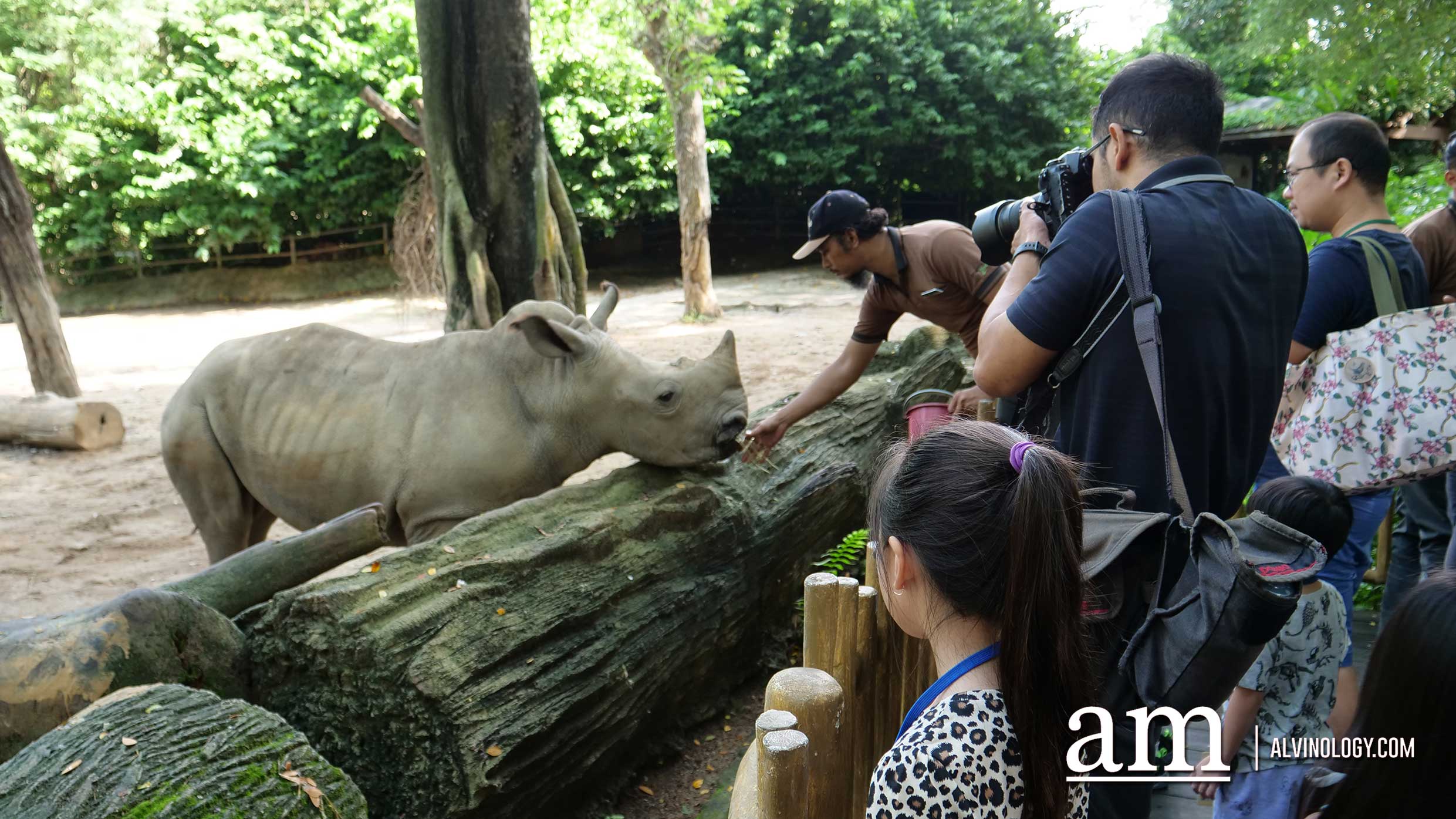 Rhino feeding