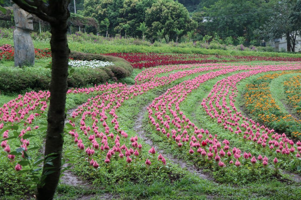 Explore picturesque Taoyuan with Taiwan Tourist Shuttle's scenic routes - Alvinology