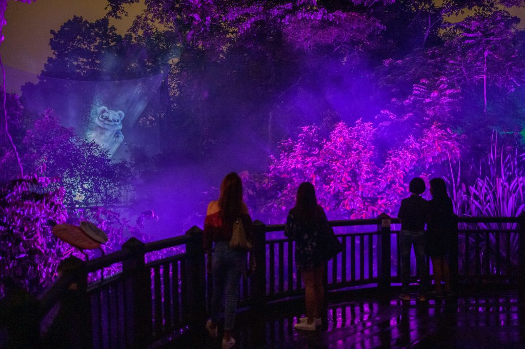 Rainforest Lumina back at the Singapore Zoo for season two - Alvinology