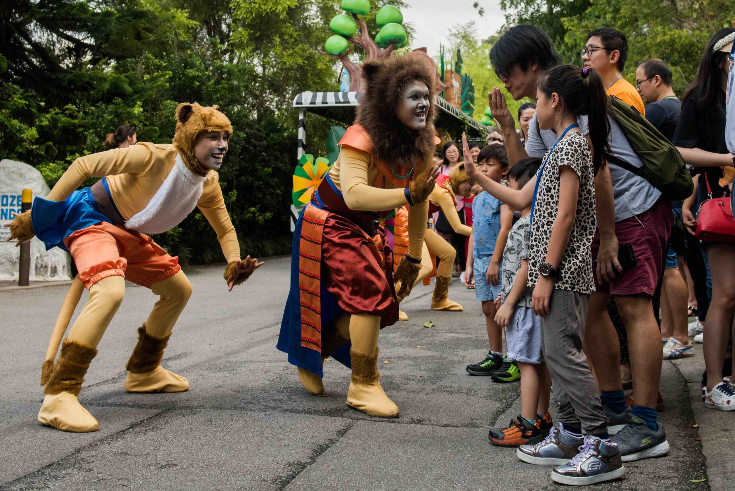 Experience Disney's The Lion King in real-life at the Singapore Zoo and Night Safari - Alvinology