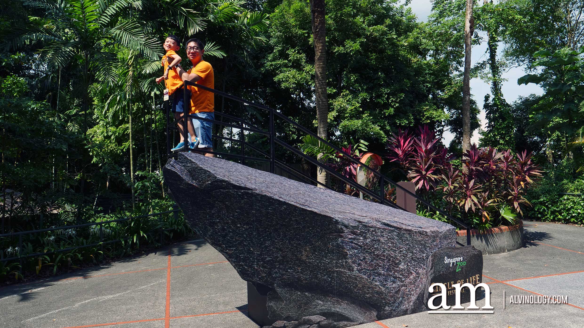 Experience Disney's The Lion King in real-life at the Singapore Zoo and Night Safari - Alvinology