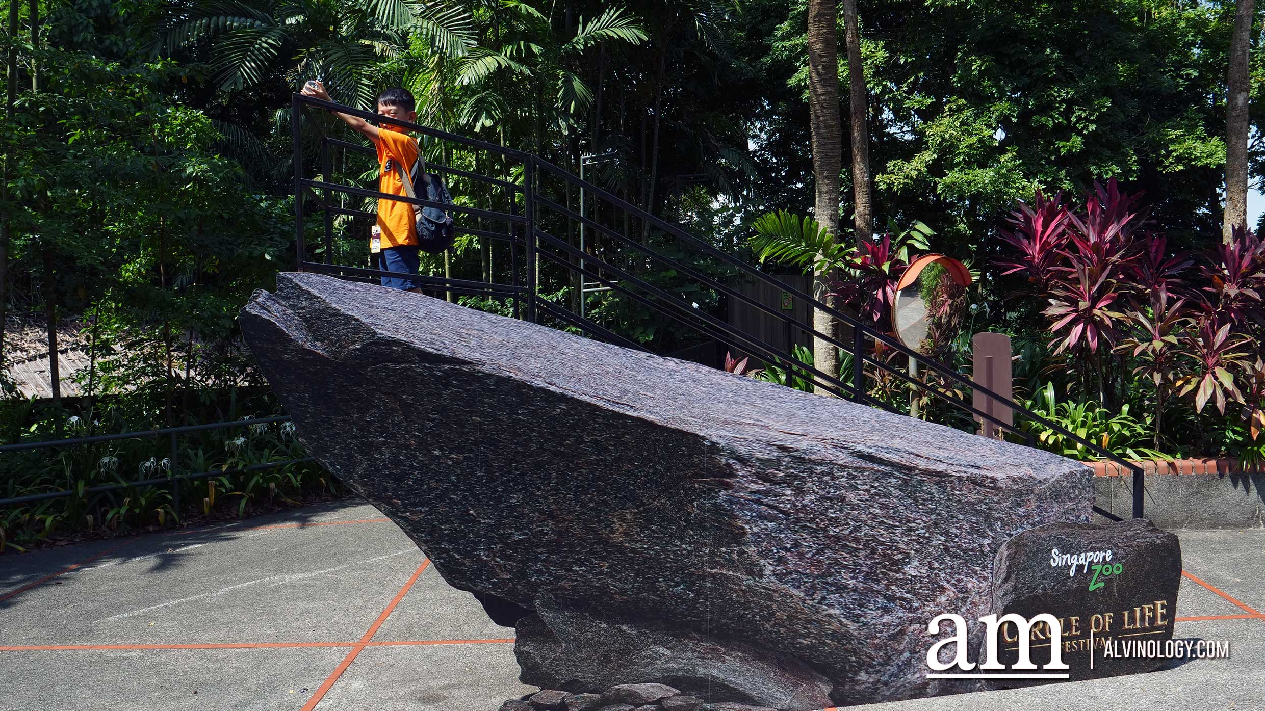 Experience Disney's The Lion King in real-life at the Singapore Zoo and Night Safari - Alvinology