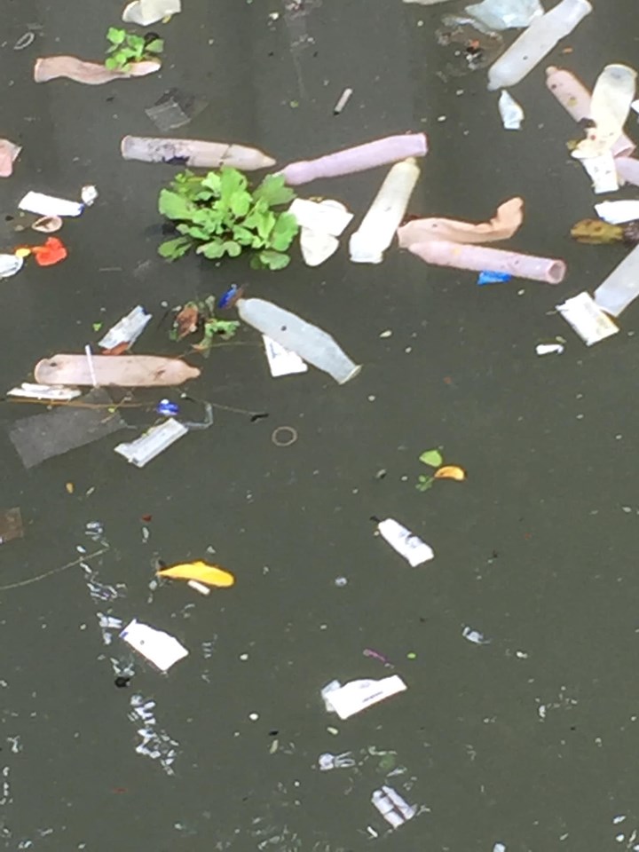 Bangkok hotel fined for canal full of used condoms - Alvinology