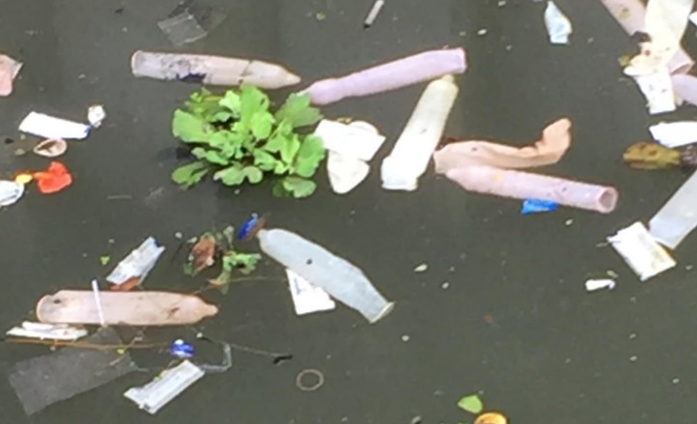 Bangkok hotel fined for canal full of used condoms - Alvinology