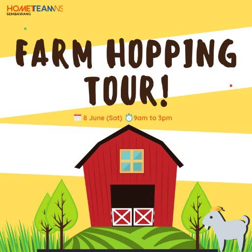 Here are 16 Activities your family can participate this June holidays by HomeTeamNS Here are 16 Activities your family can participate this June holidays by HomeTeamNS - Alvinology