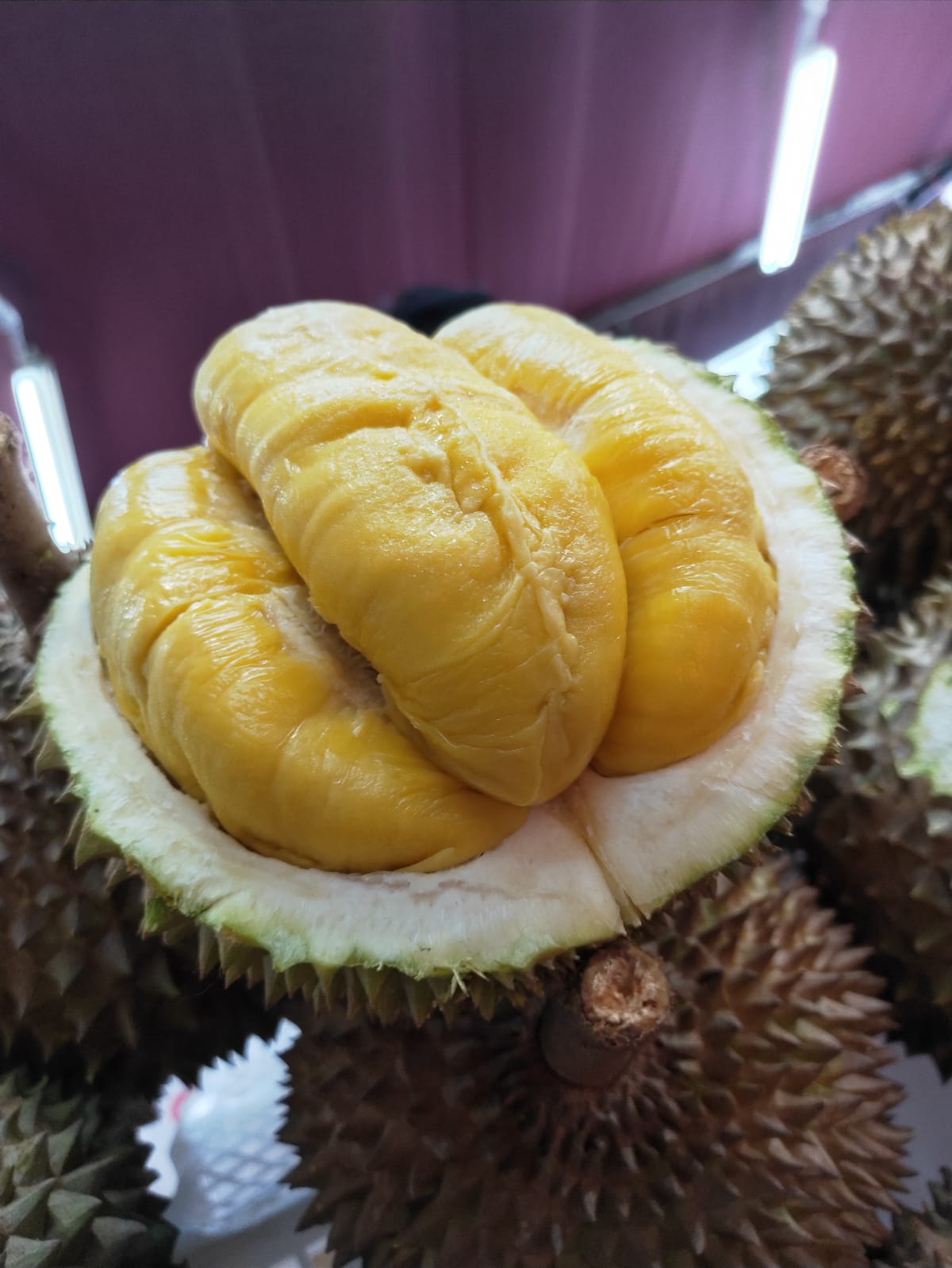 “MAO” Faber Durian Night – Promotions and other offerings for the first-ever Mao Shan Wang Durian experience - Alvinology