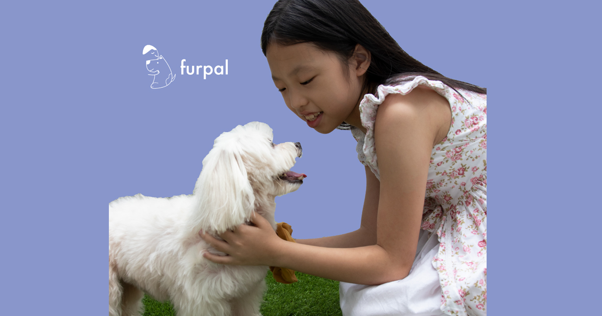 Love dogs but don’t own one? You can borrow someone else’s dog for the mean time at furpal - Alvinology