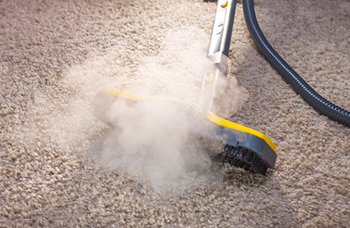 The Truth About Steam Cleaning You Need To Know Right Now - Alvinology