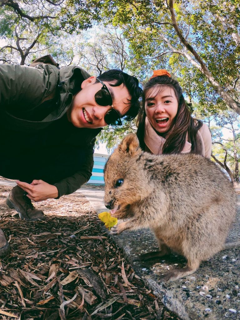 Go on a day excursion to Rottnest Island to catch a selfie with the friendly quokka.