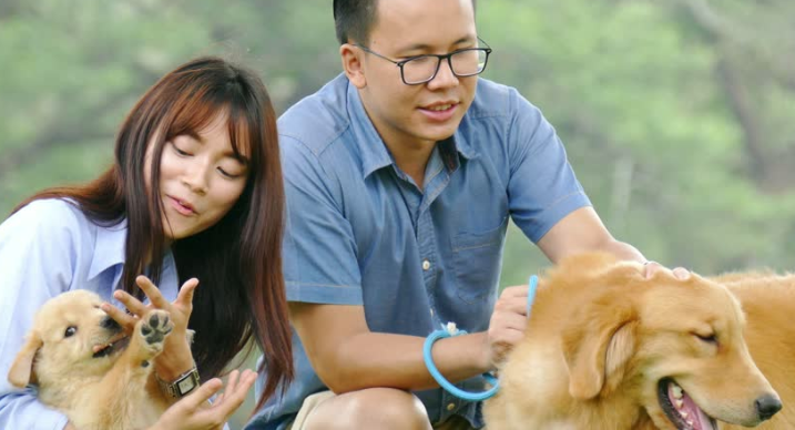 What is animal therapy- Know its benefits. - Alvinology