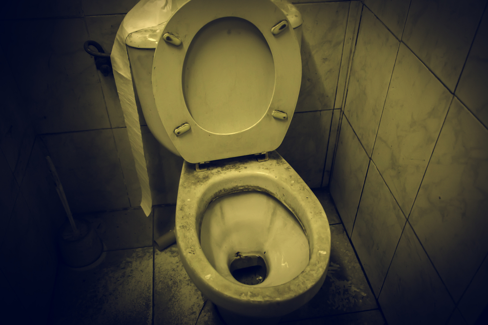 NTU student begs women to keep toilets clean during period, netizens add their own toilet horror - Alvinology